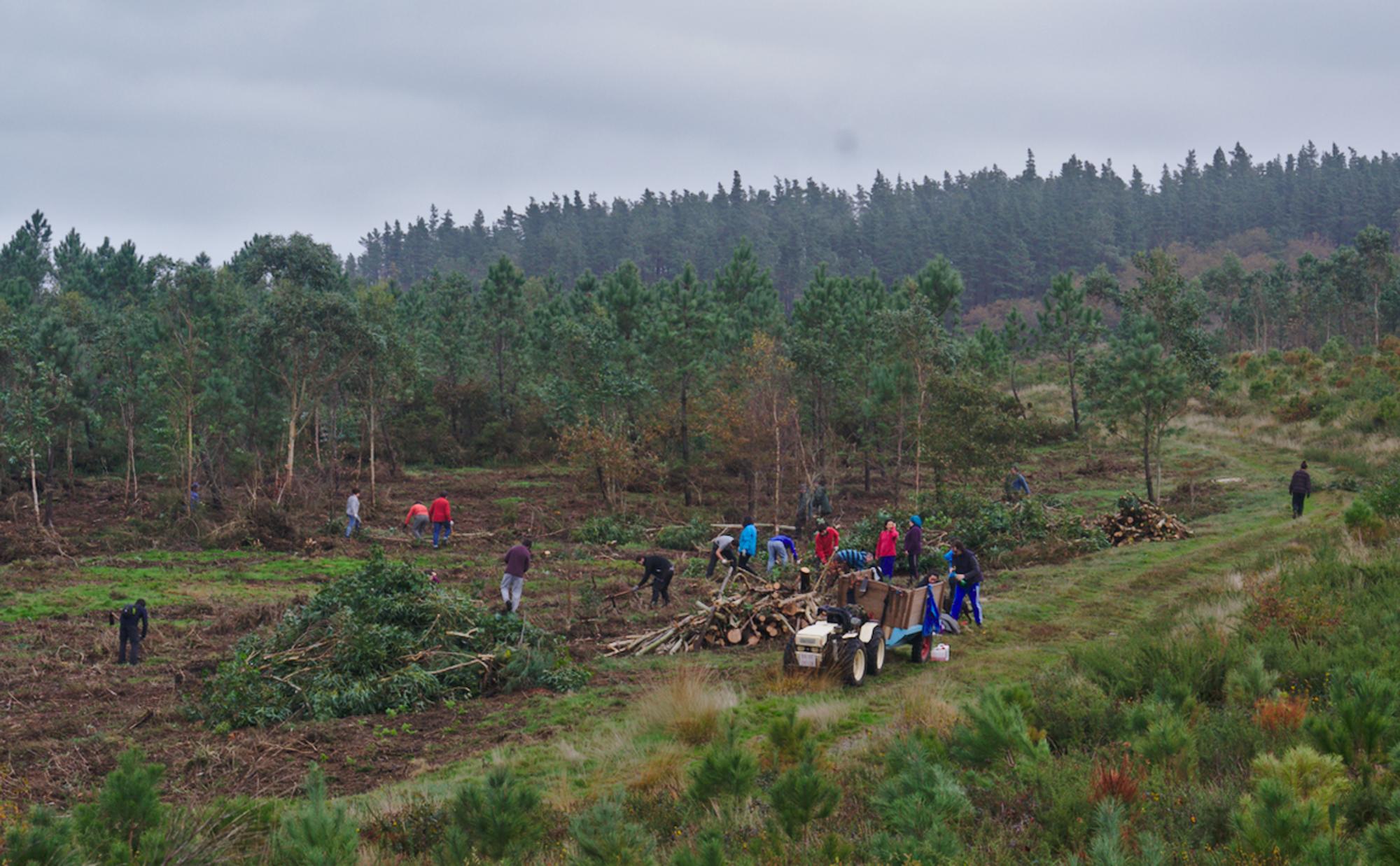 Verdegaia Ribeira. Brigadas 3